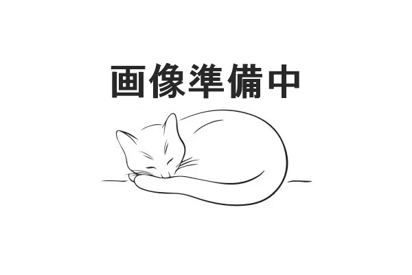 NO-IMAGE-の画像3